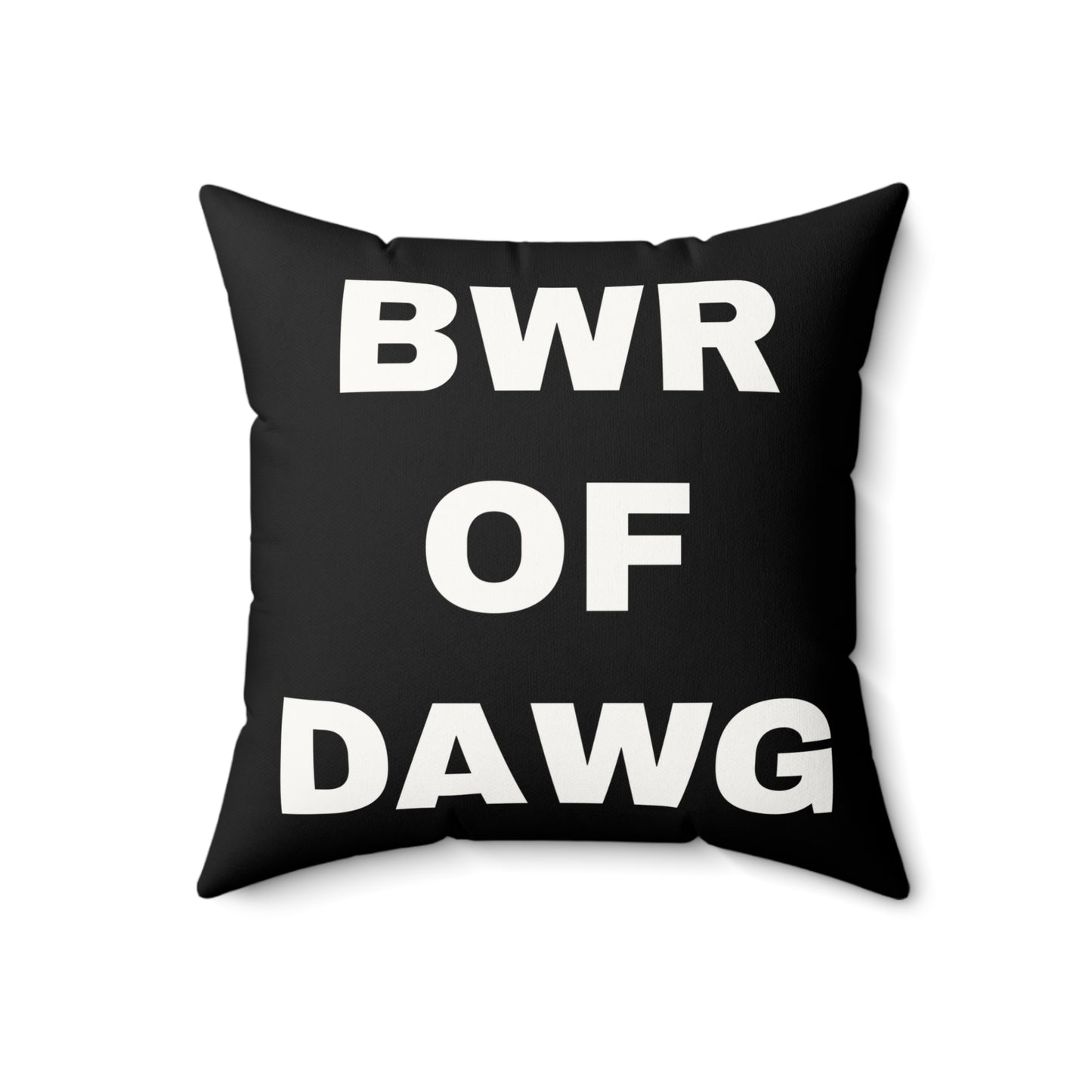 WVNYA&CO. GUARDIAN SQUARE SUEDE ACCENT PILLOW