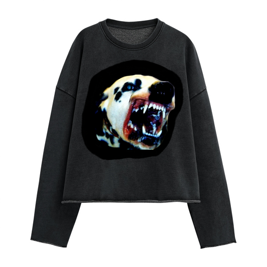 BITE DOWN CROPPD SWEATSHIRT