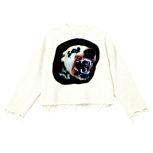 BITE DOWN UNISEX WAFFLE CROPPD LONG SLEEVE SHIRT